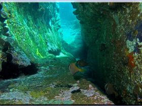 Scenery at Little Bay