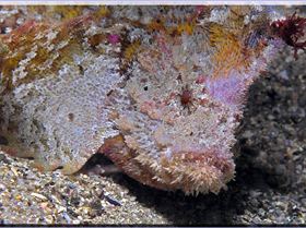 Kinda Spooky at Kurnell