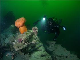 Marek Scuba Diving with Jan Possession Point, Whidbey Island, WA, USA