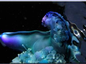 LoxPix Sub-Aqua shot