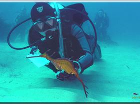 LoxPix Sub-Aqua Image