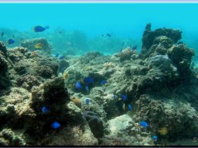 LoxPix Sub-Aqua Image