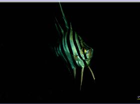 LoxPix Sub-Aqua Image