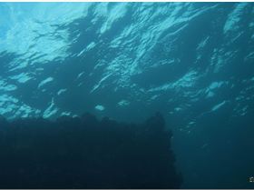 LoxPix Sub-Aqua Image