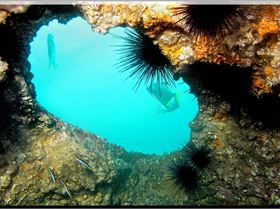 LoxPix Sub-Aqua Image