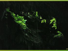 LoxPix Sub-Aqua Image