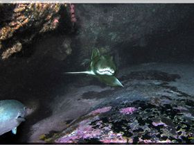 LoxPix Sub-Aqua Image