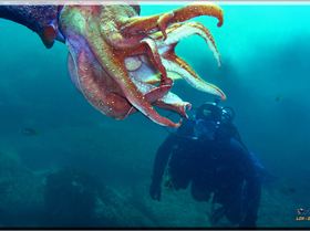 LoxPix Sub-Aqua Image