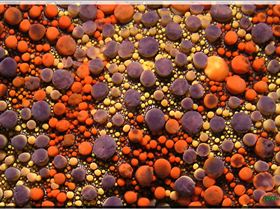 LoxPix Sub-Aqua Image