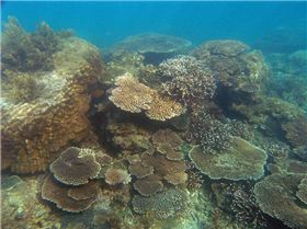 Damage from the big wet