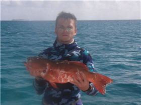 Coral Trout