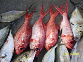 divings thriving,fishings,wishing....