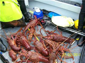 Not bad for thirty minutes