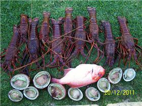 Another nice day at Hamlin bay