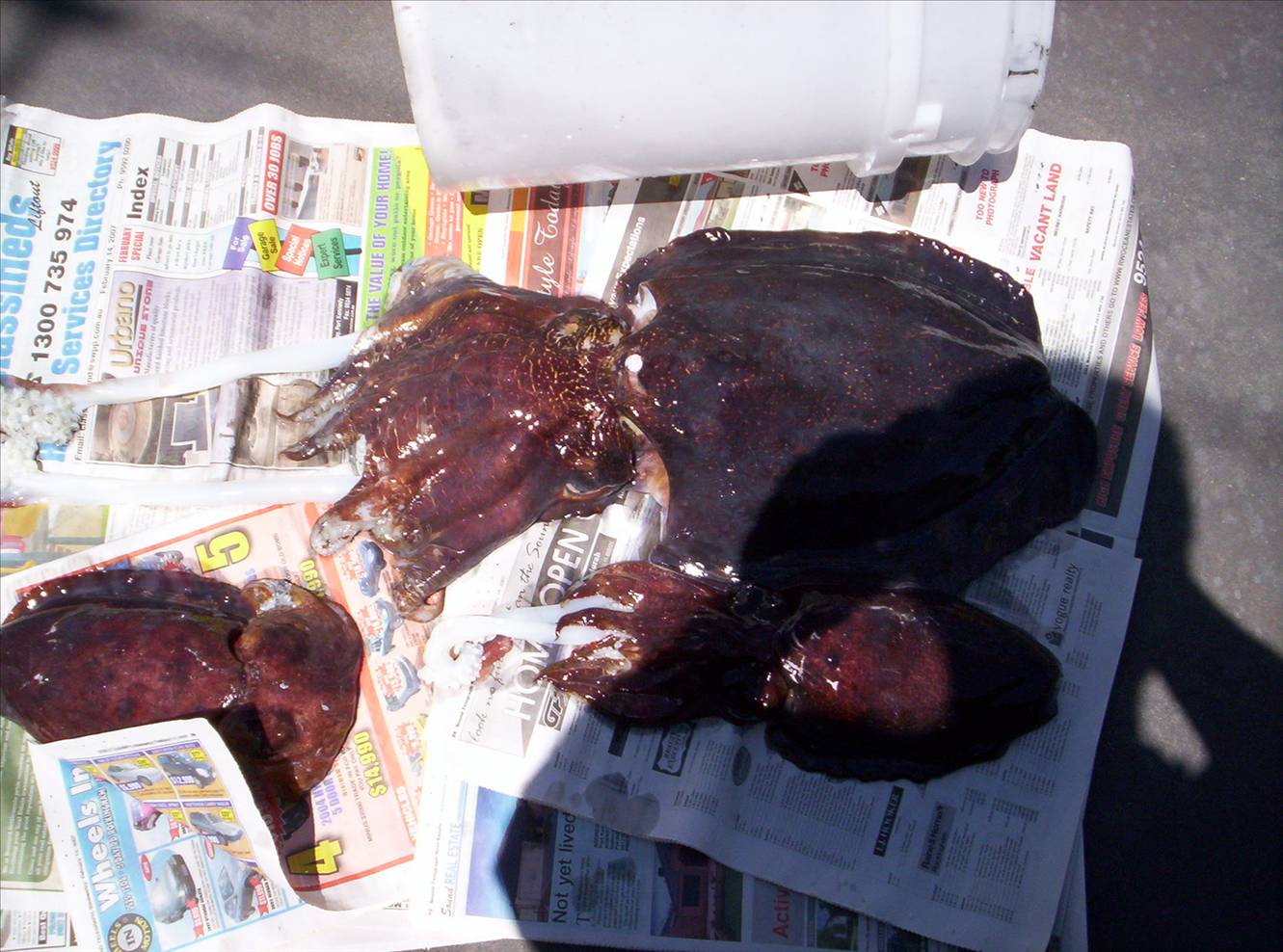 union day strike pays off