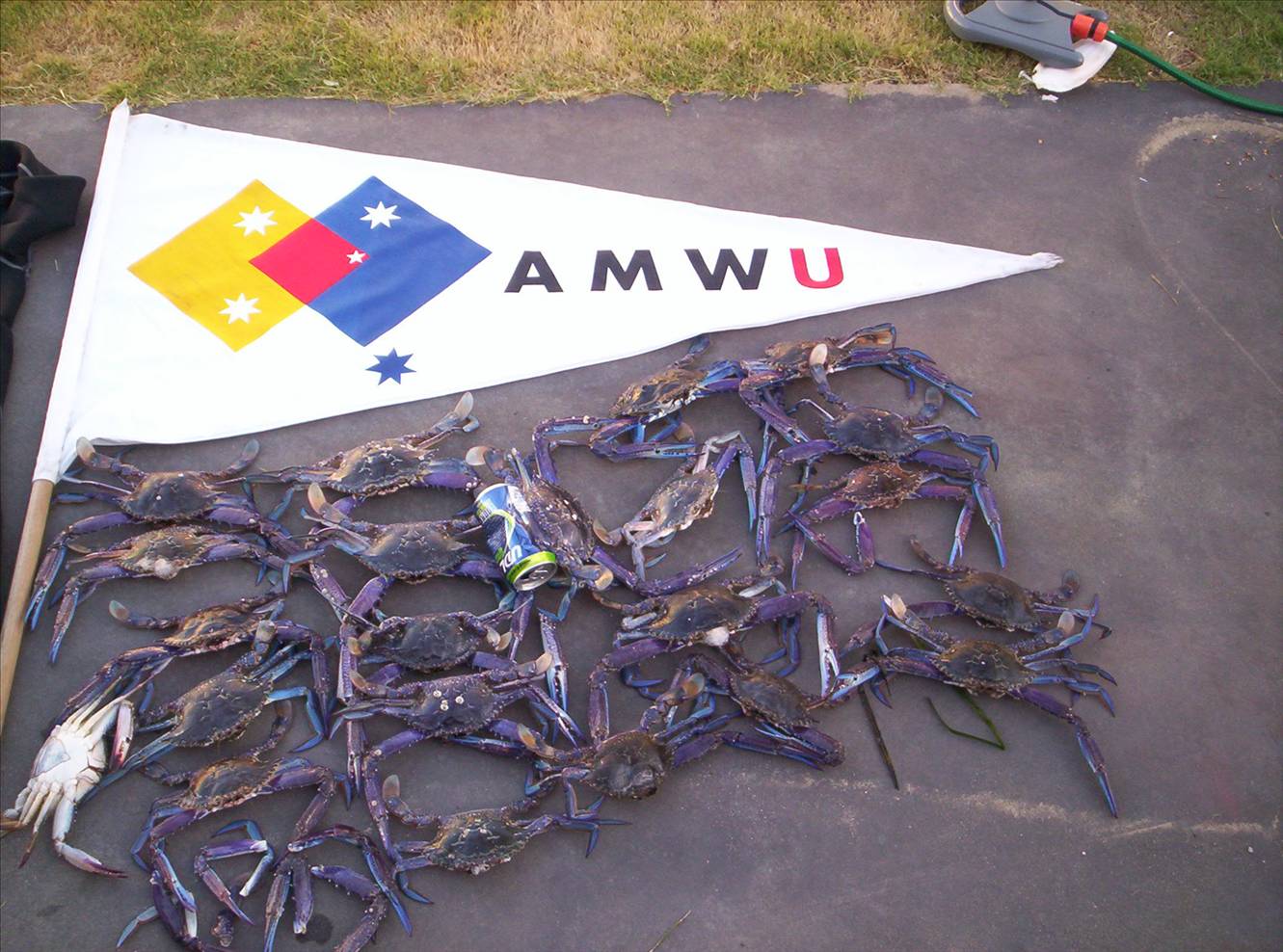 day of from union strike pays off   good to be union