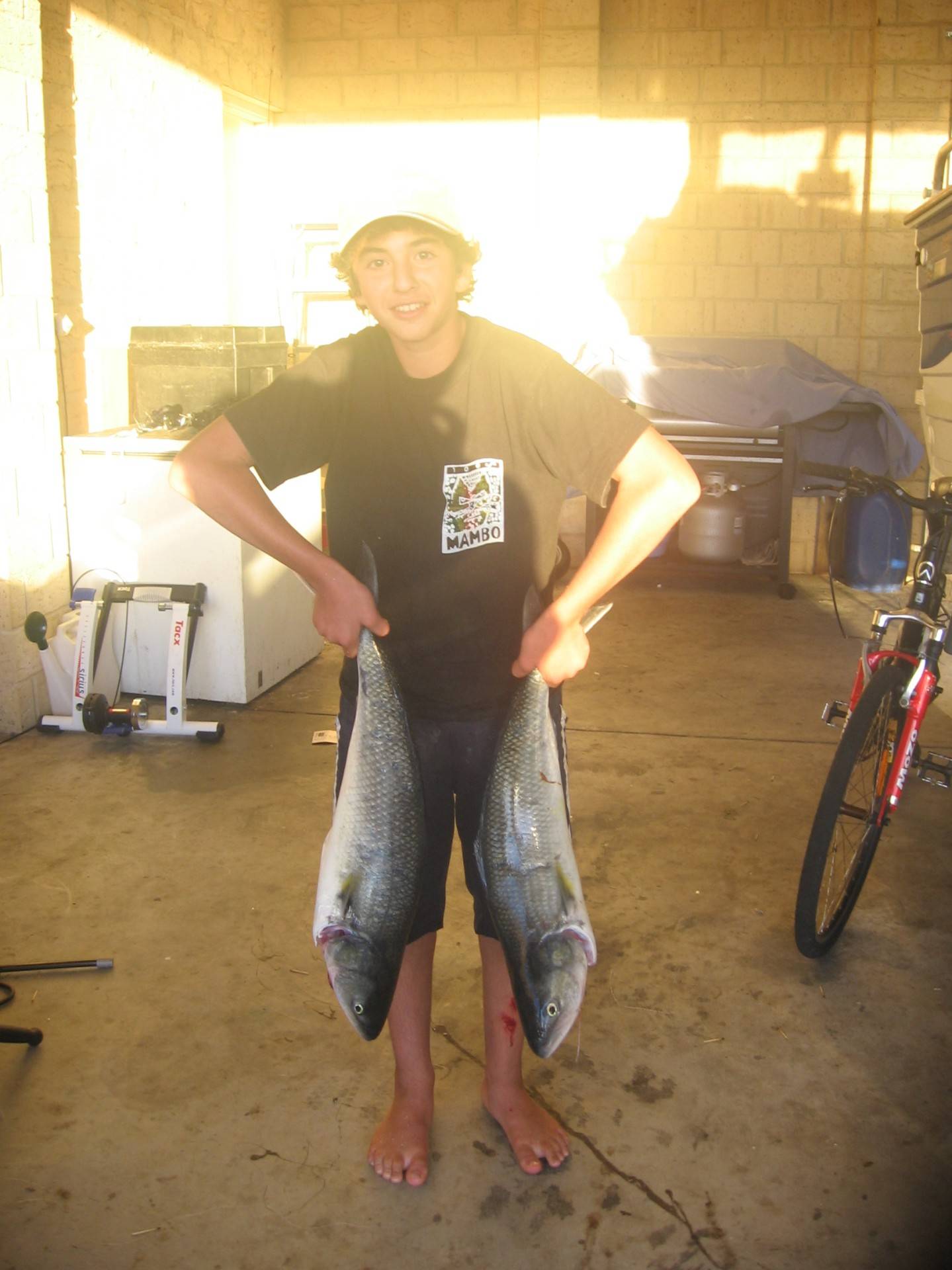 2 salmon I caught last weekend, Canal rocks