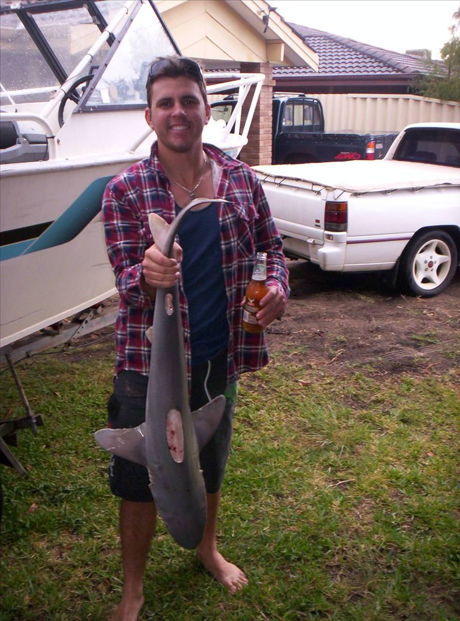 skinnys nice bronzey