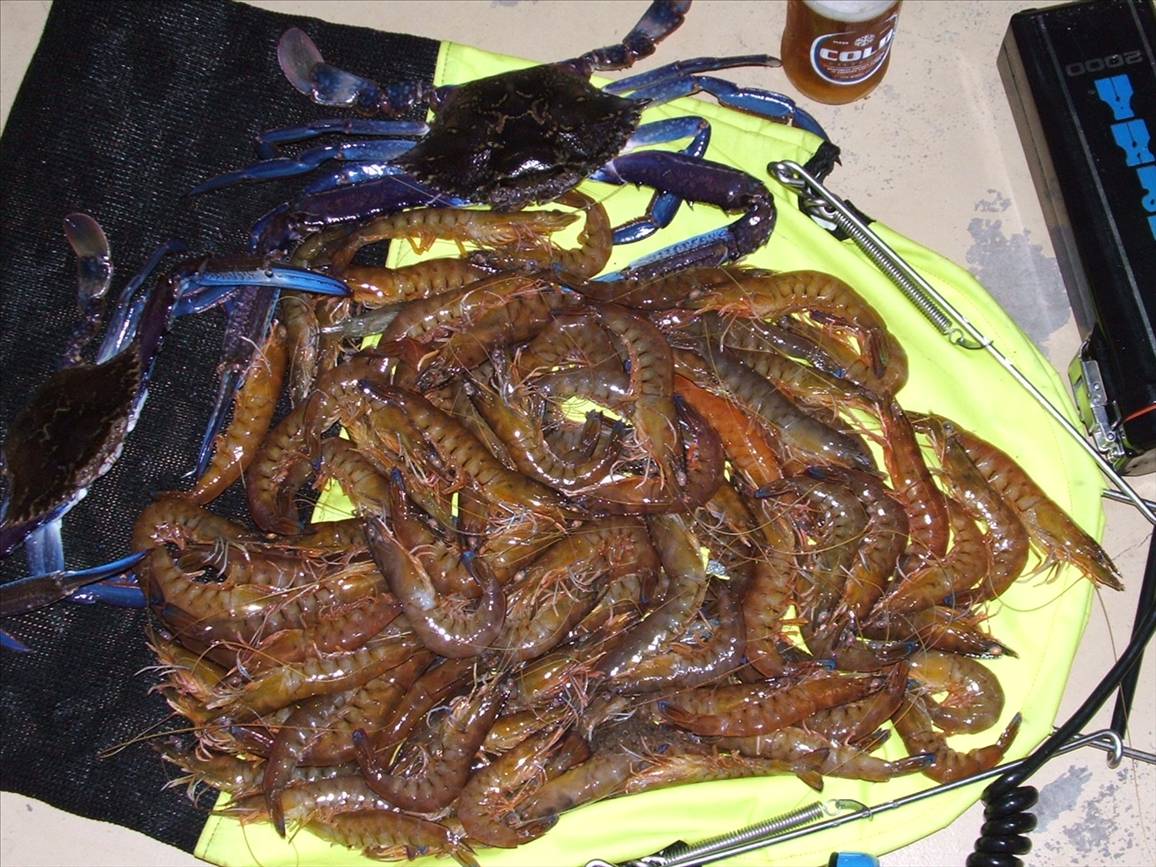 digitals` report 3-05-07