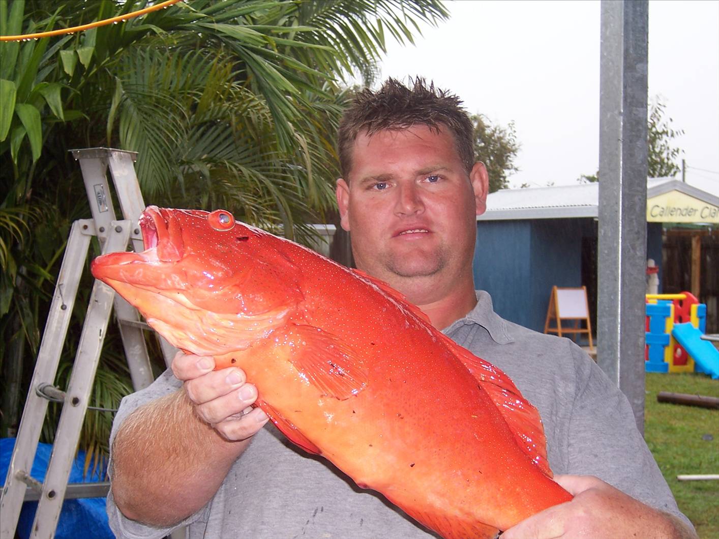 500m off shore at rainbow beach qld