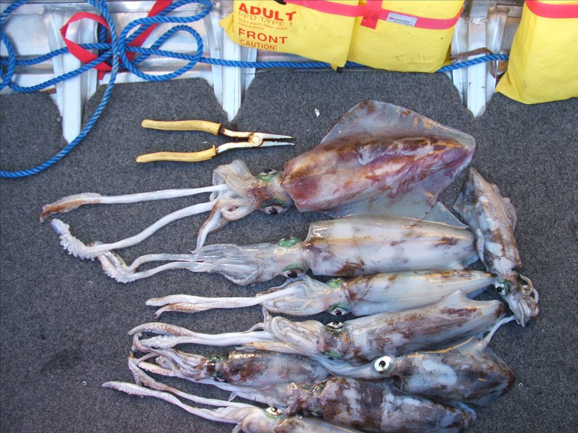 digitals report 21-5-07