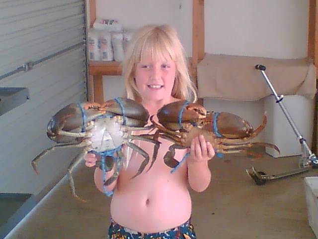 crabsat cabulture river