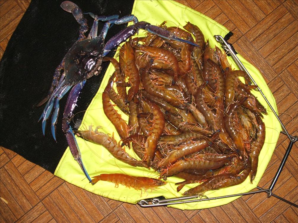 digitals report 23-05-07