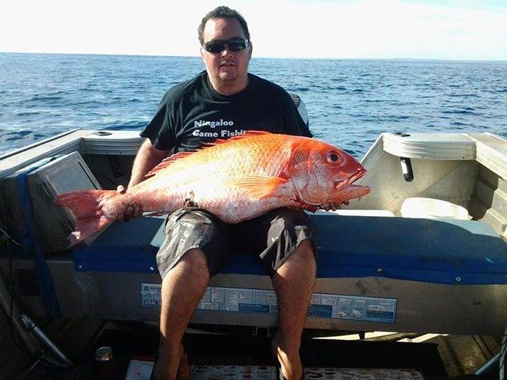 FB 20160607 13 07 10 Saved Picture