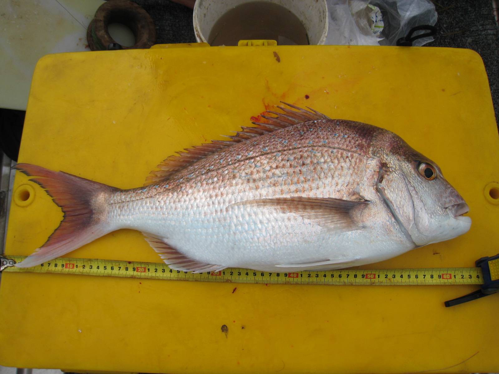 Who needs to go off shore.