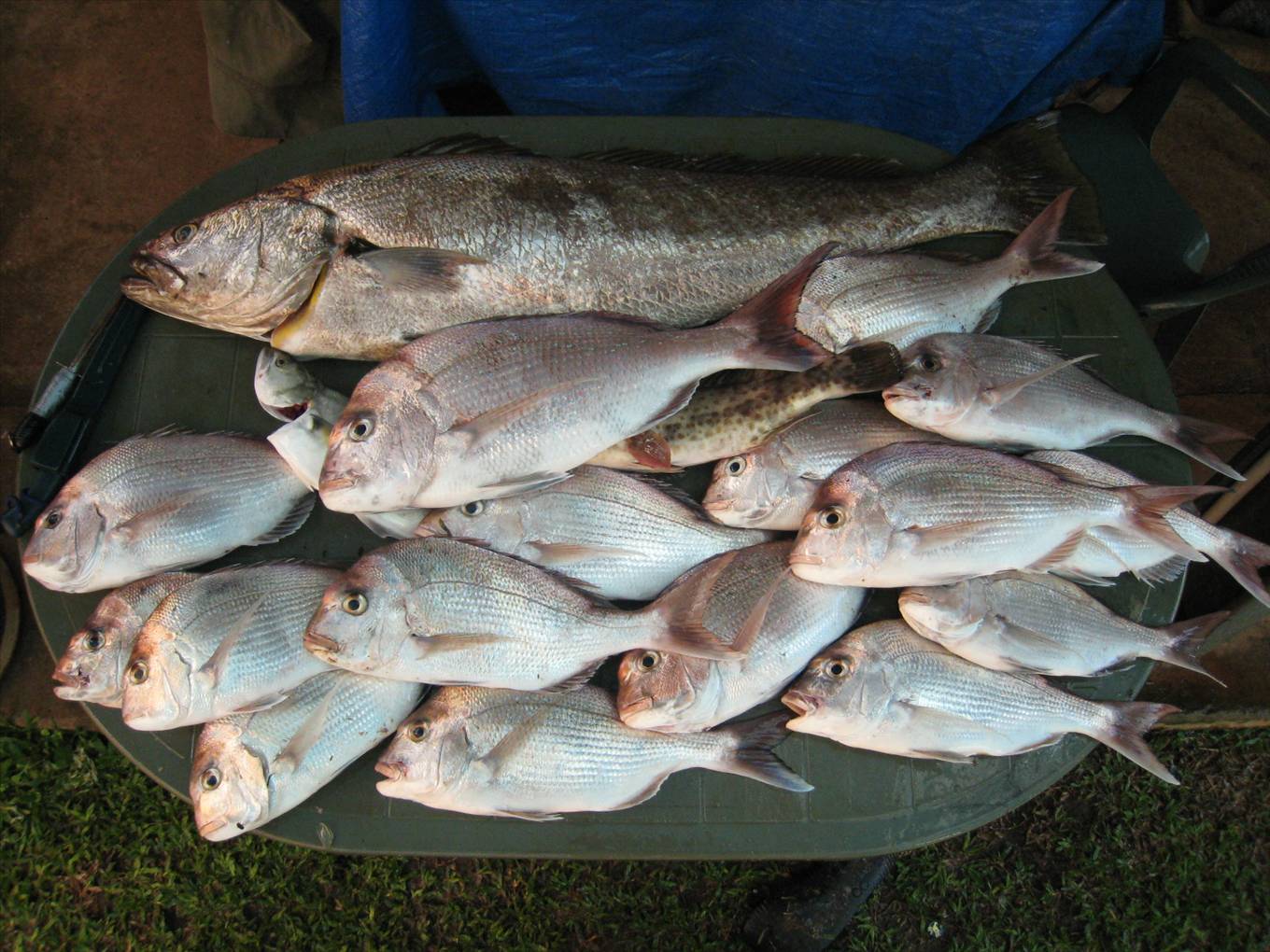 Who needs to go off shore.