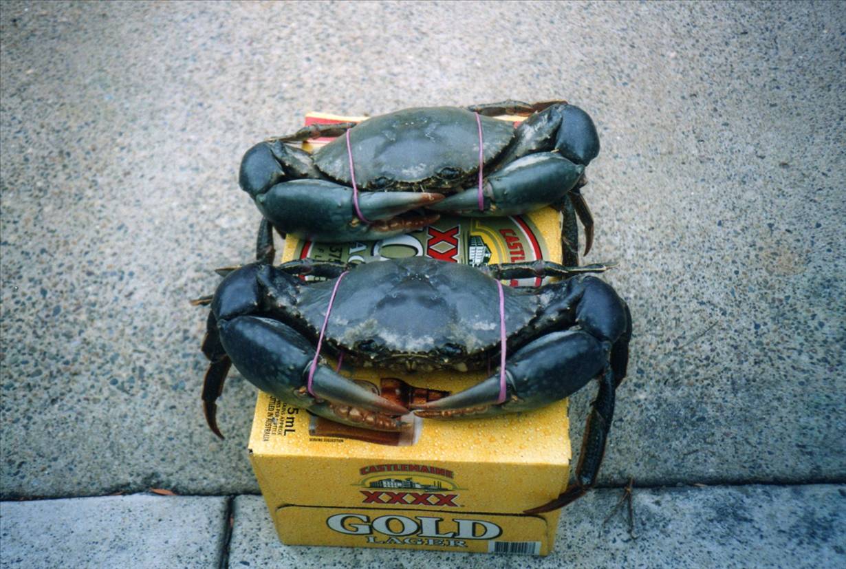 Who needs to go off shore.