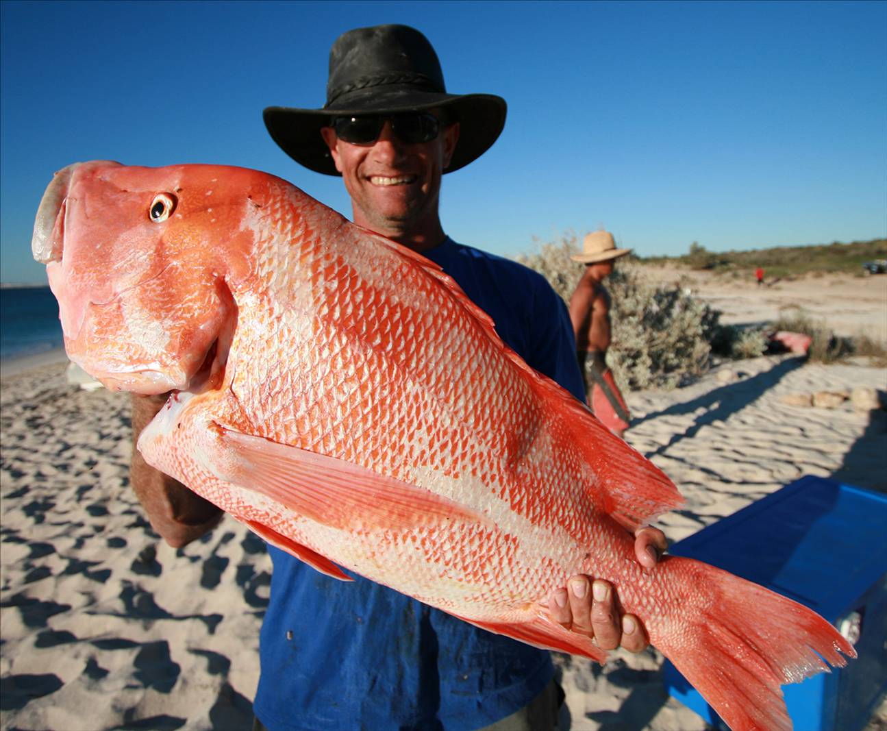 they dont get any bigger than this 