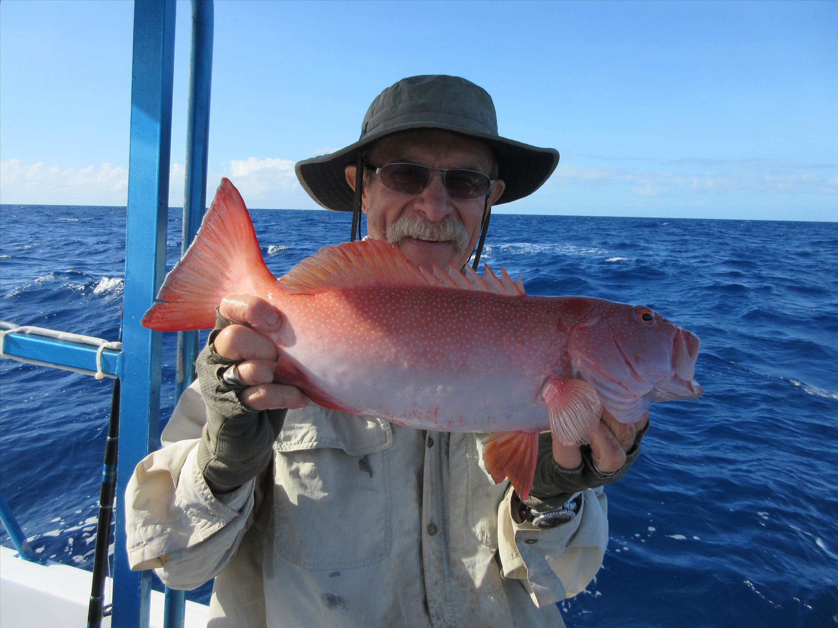 50 miles for the day