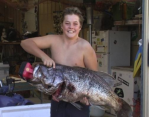 14 Kg Dhuie