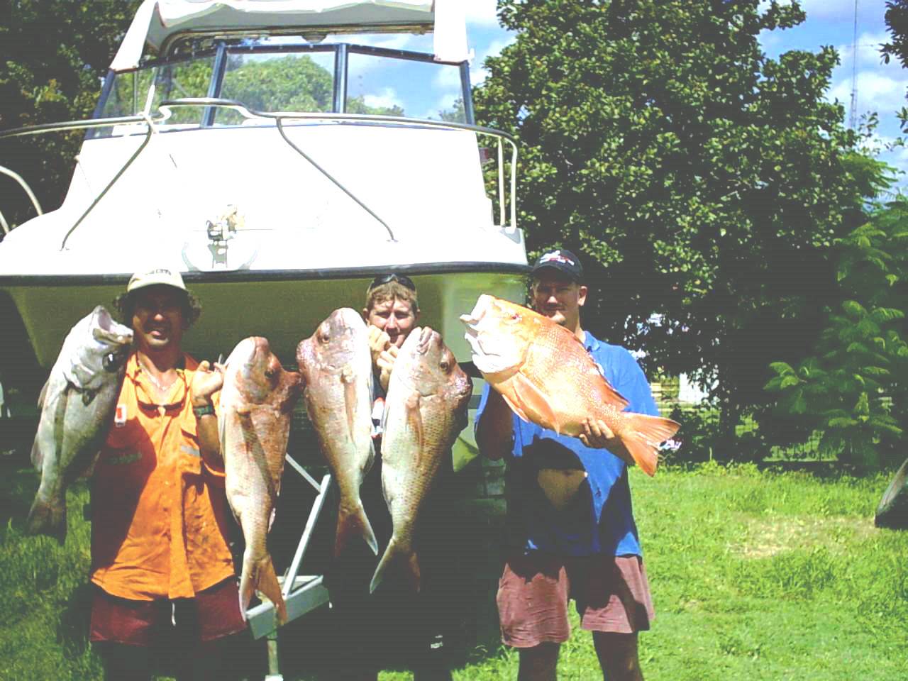 overnighter 10kg snapper feral