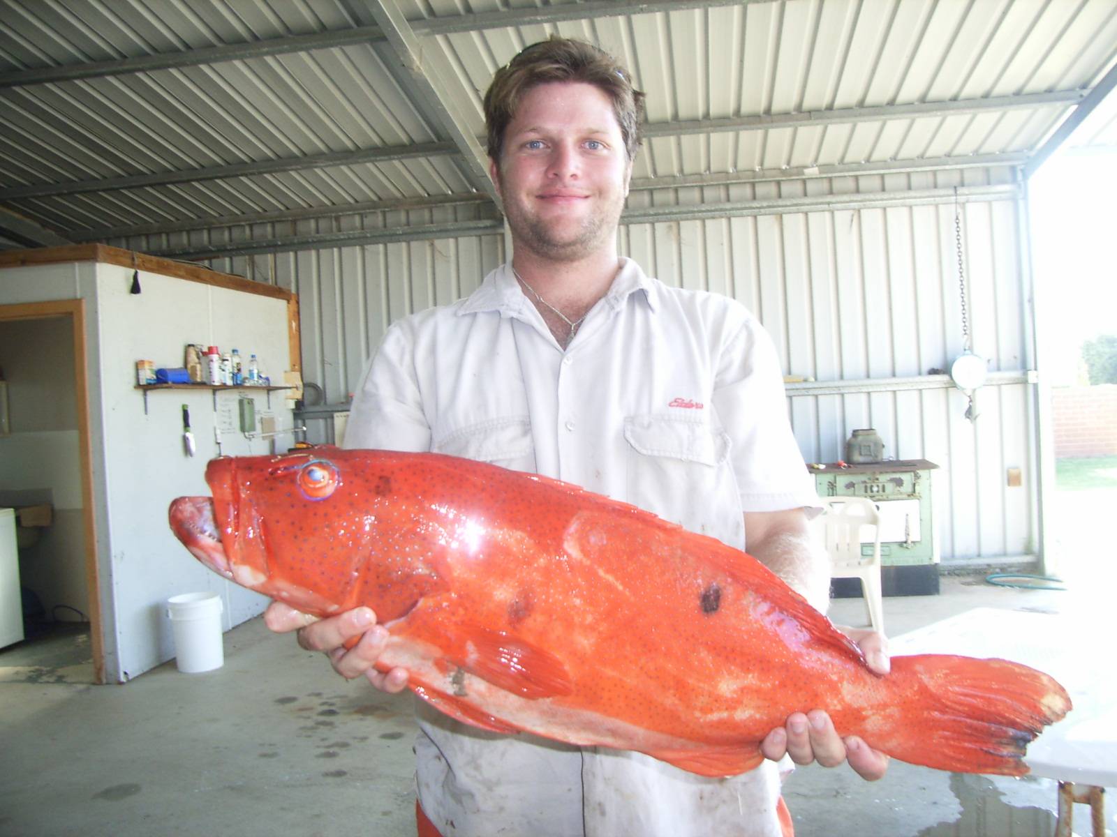 Caught this between the Dhuies