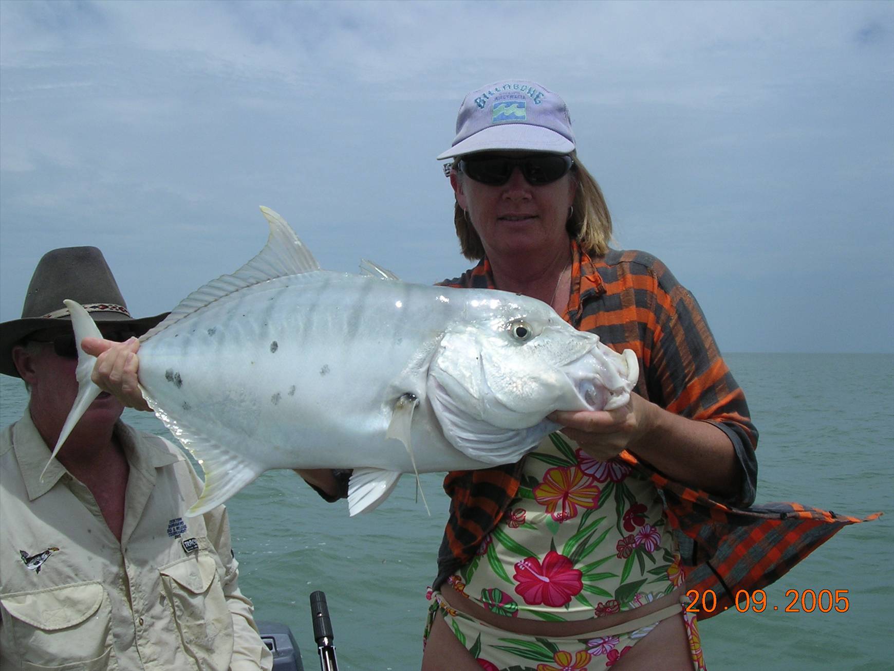 Golden Trevally 