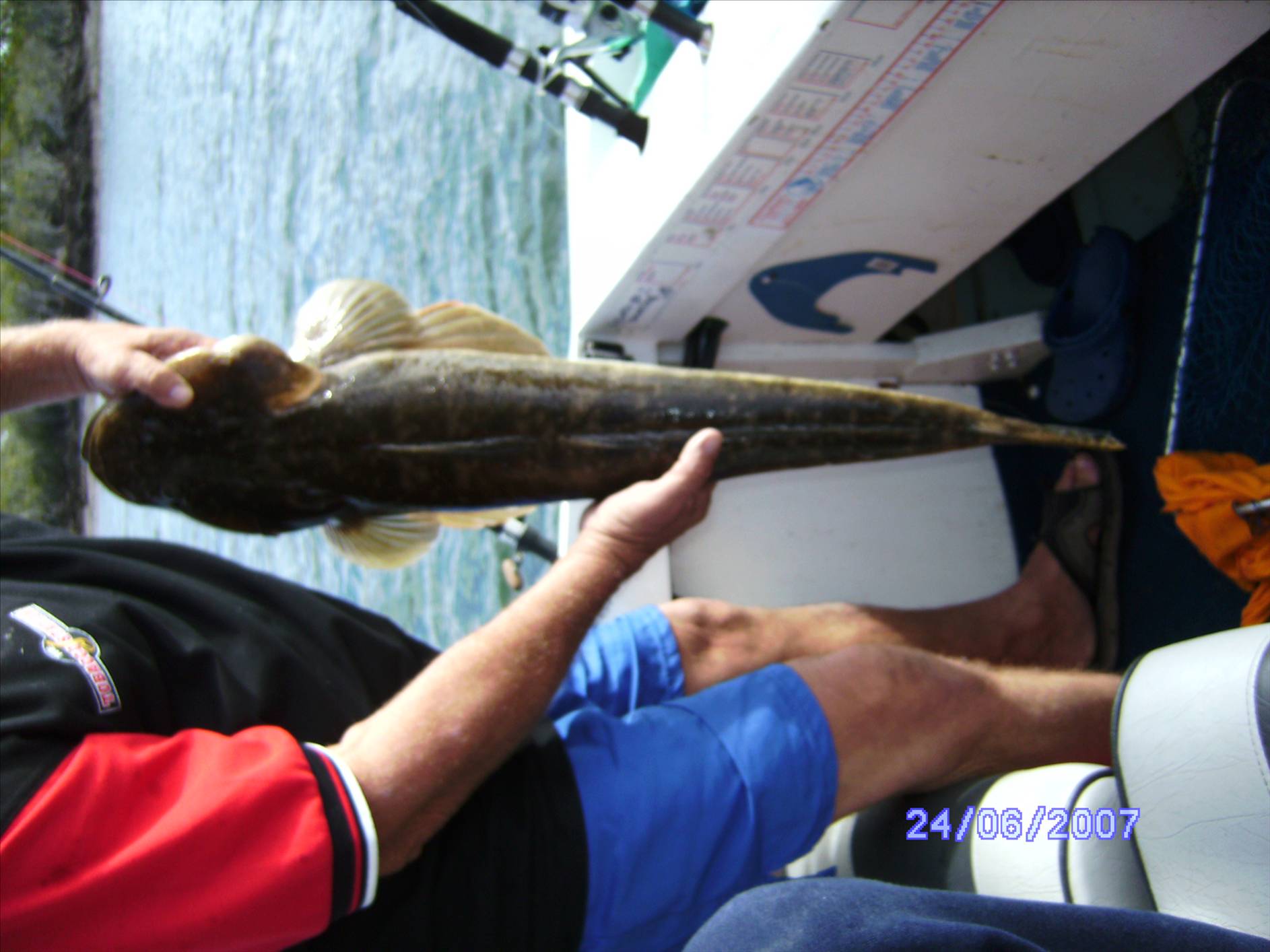 86cm flathead (to bad we had to throw her back)