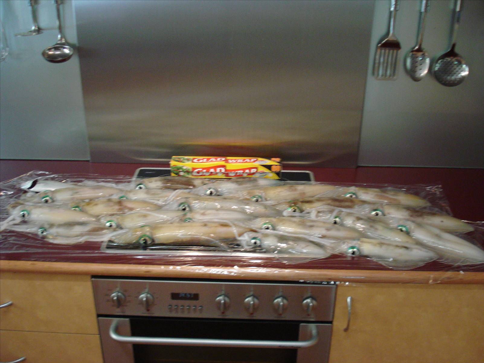 Cockburn Sound Squid/Great Day Off