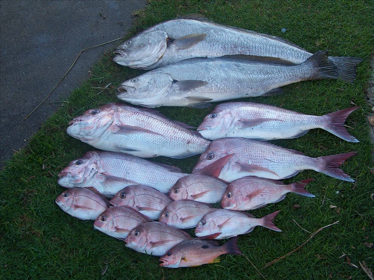 Al & Darren good arvo