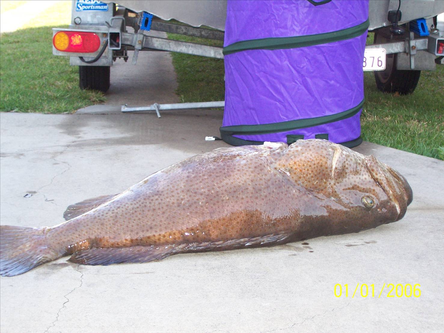 This greasy would not give up!