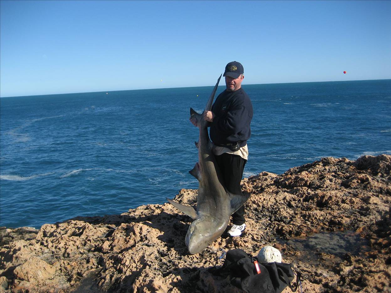 Bronze Whaler Quobba Station WA