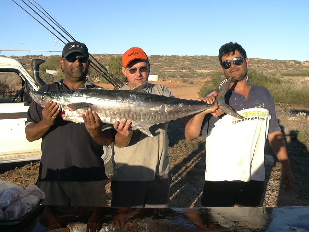 Spanish Mackerel Quobba Station WA