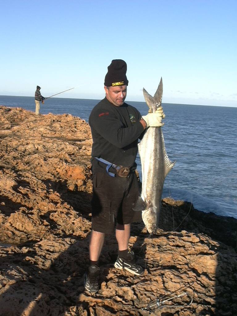 Cobia Qubba Station WA