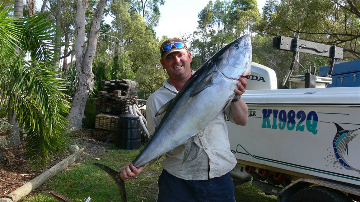 24 kilo northern blue 