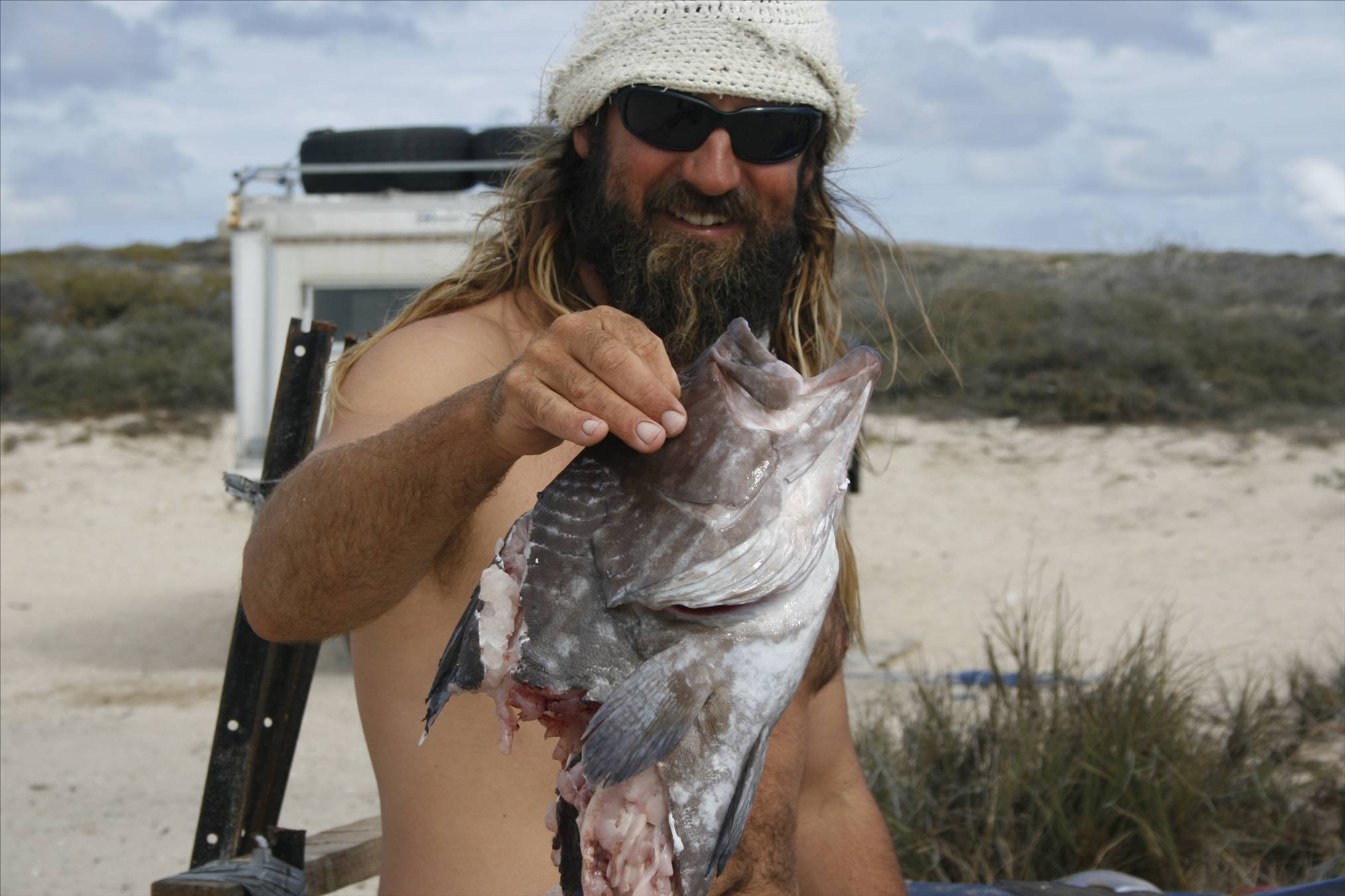 Steep Point WA Sharks