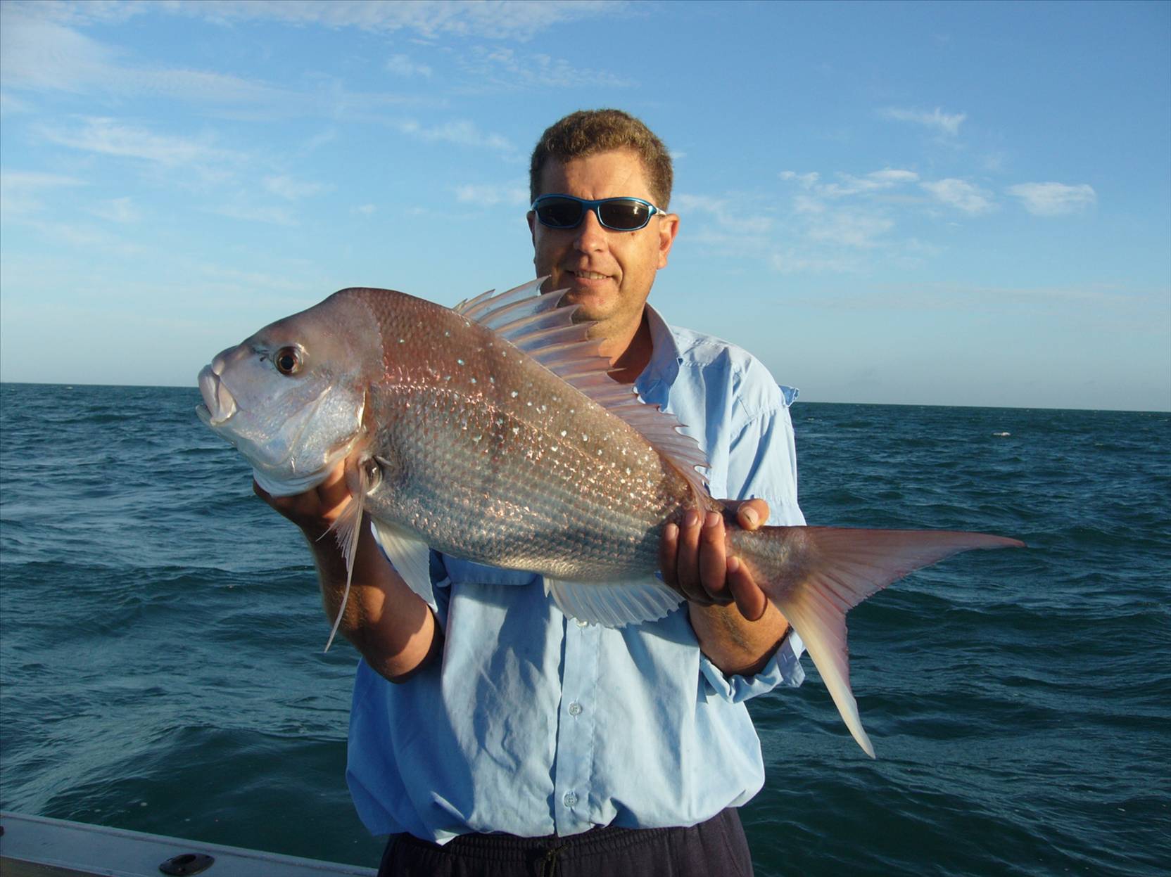 Moreton Bay Snapper