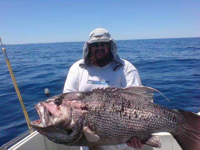 phill out near rotto