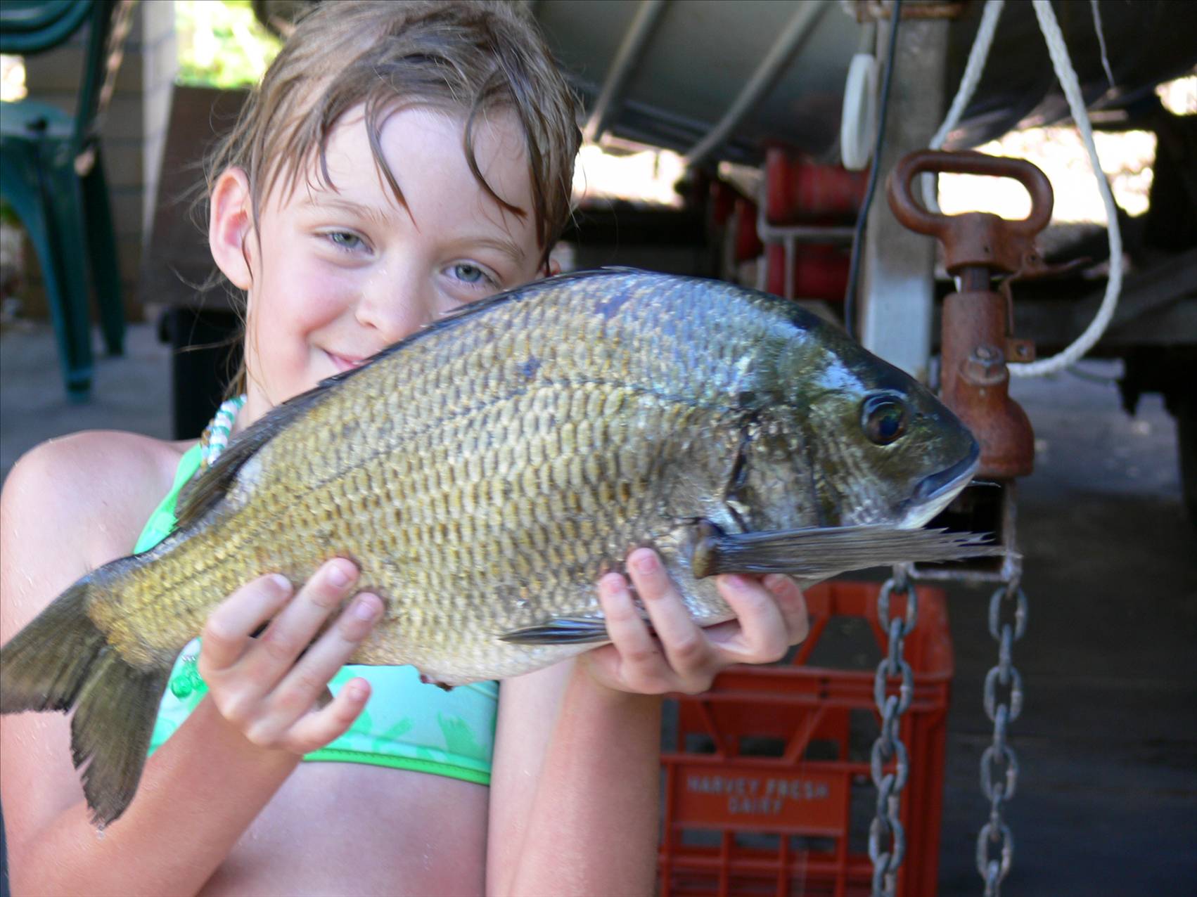 46cm bream