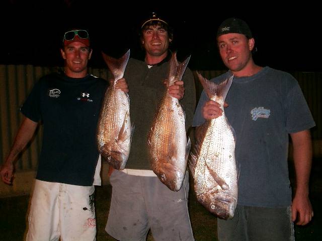 A few out the back of the islands